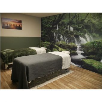 Gesundheit & Wellness